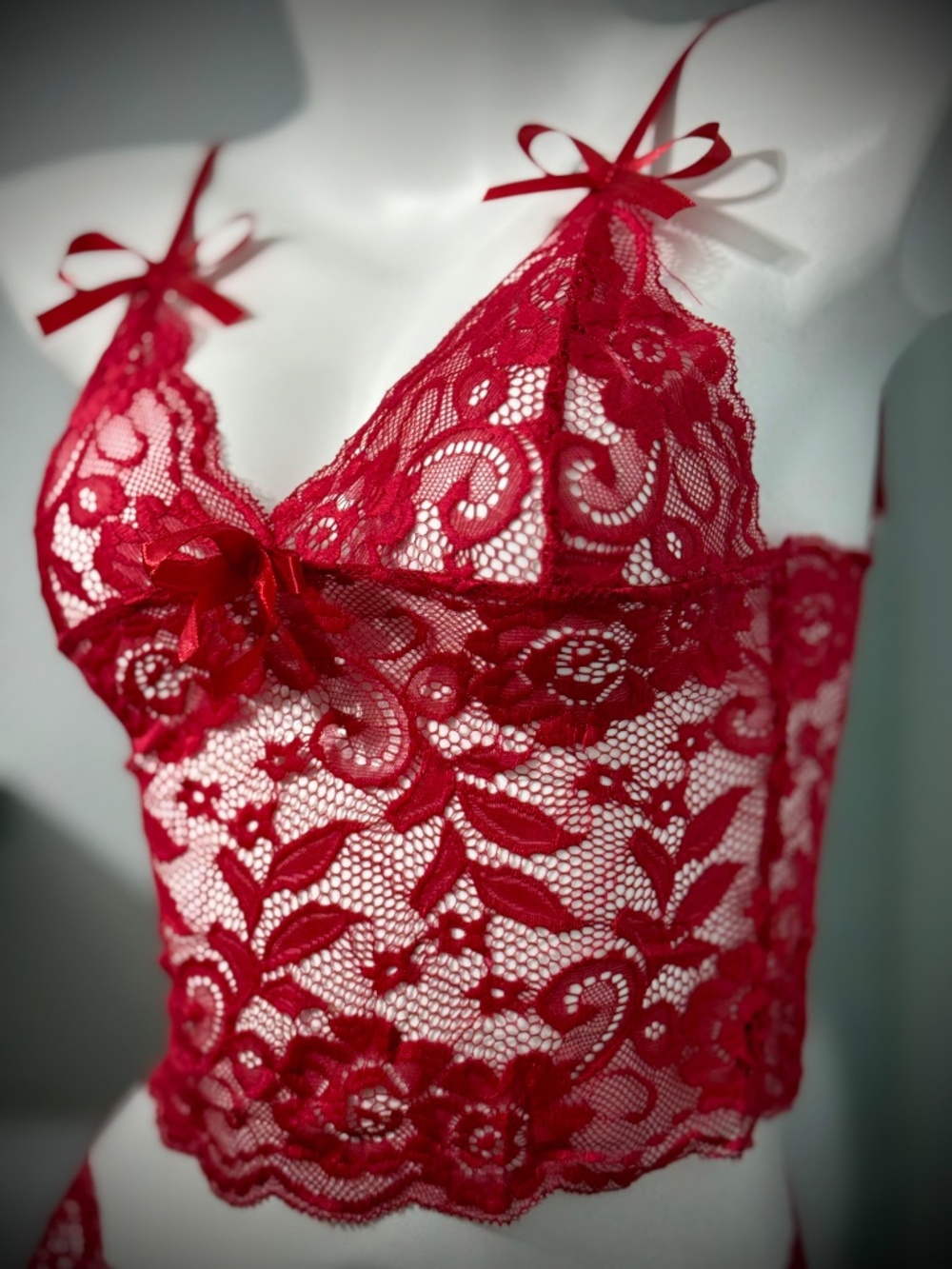 Lace Lingerie Set Sheer Floral Bralette and Boy shorts NWOT - Picture 2 of 3